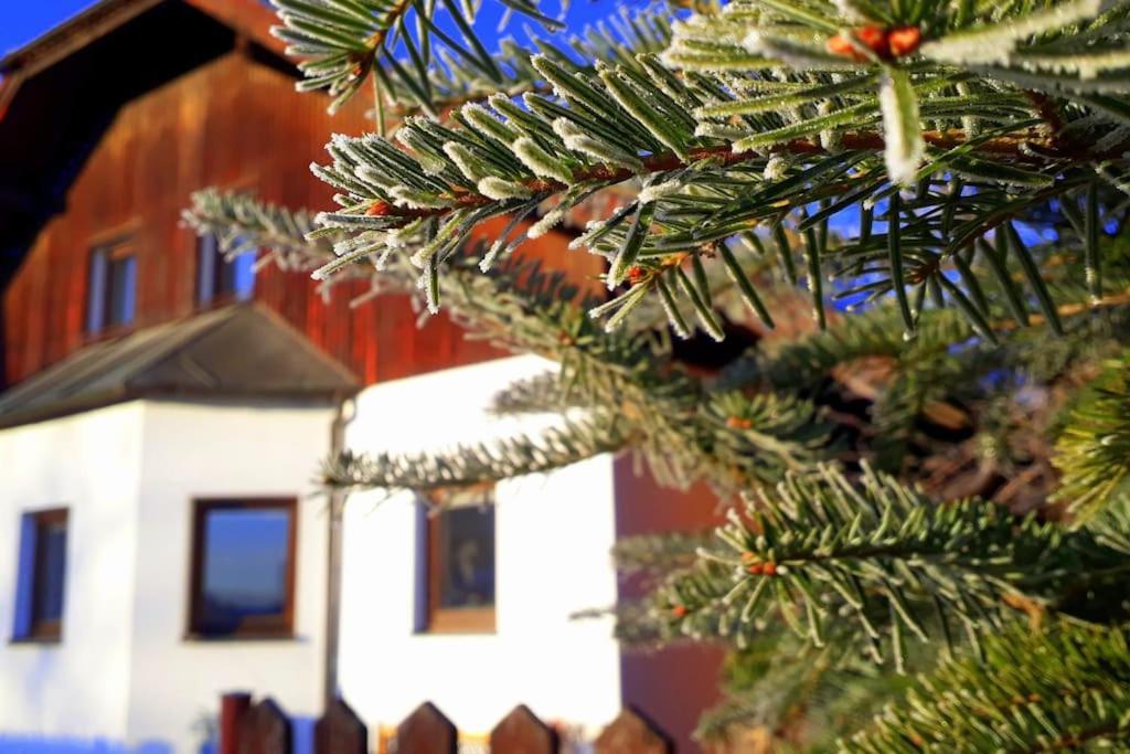 "Stone'S Throw" Krumlov 5 Min By Car, Lipno 15 Min By Car, 2 Bdrooms,Playroom Каёв Экстерьер фото